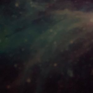 Meet your Posher, Jayden